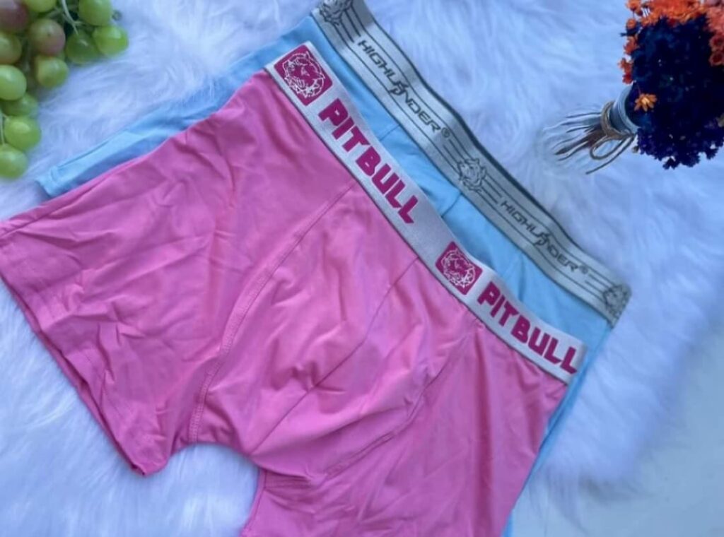 Cueca Boxer Pitbull Lisa Ref 2001 Divina Moda Intima